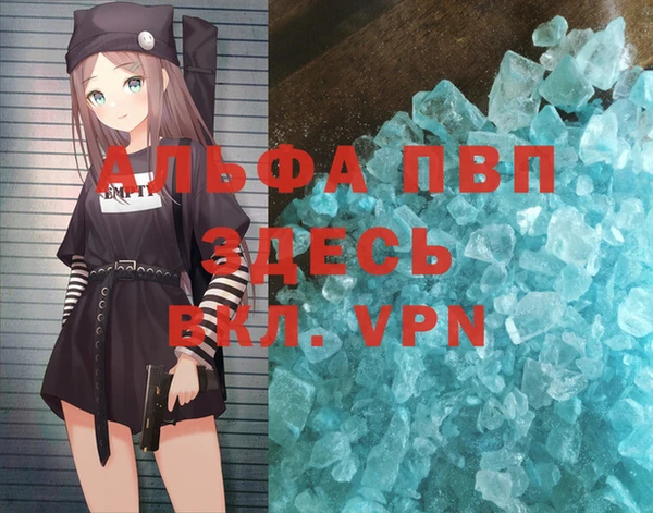 винт Надым